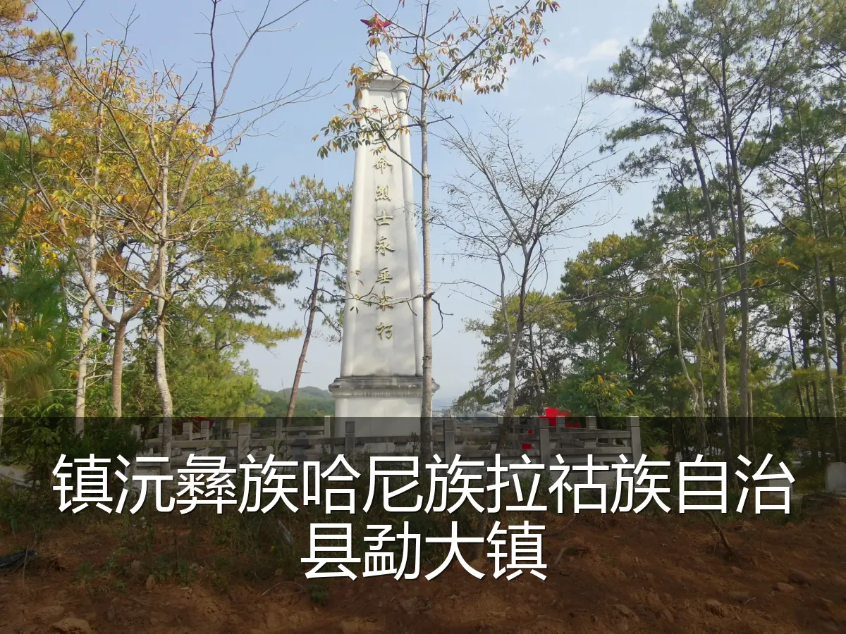 镇沅彝族哈尼族拉祜族自治县勐大镇