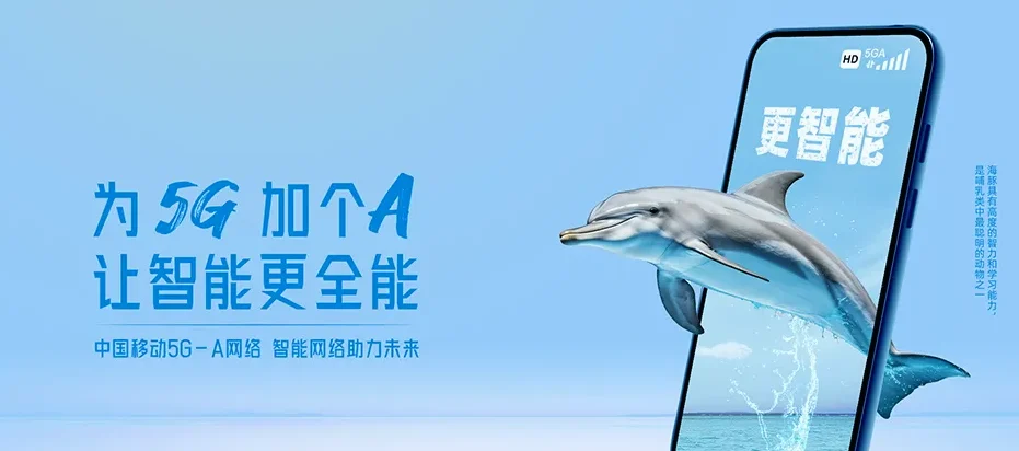 镇沅彝族哈尼族拉祜族自治县镇沅彝族哈尼族拉祜族自治县者东镇 移动宽带
